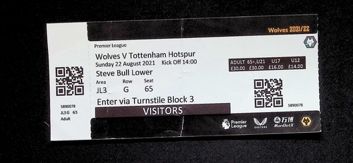 Wolverhampton wanderers - wanderers, v