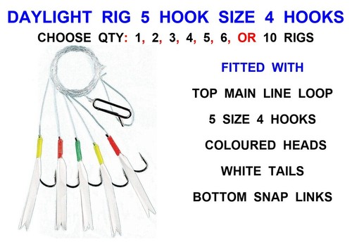 Daylight rig hook size 4 - rig,