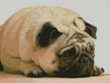 Pug 2 puppy Dog Counted Cross
