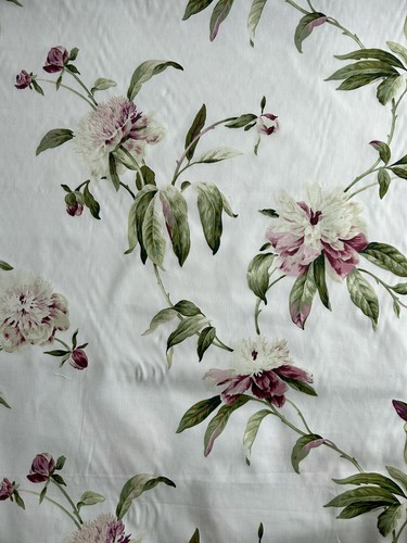 Porter stone peony - porter,