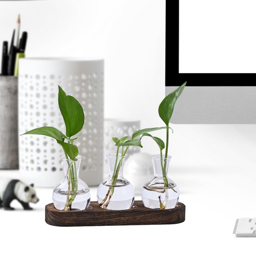 Hydroponic vase bud - vase, stem