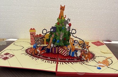 Pop cat christmas - cat,