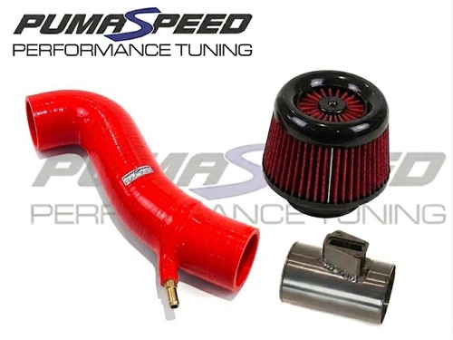 Pumaspeed cyclone cold air - cyclone,