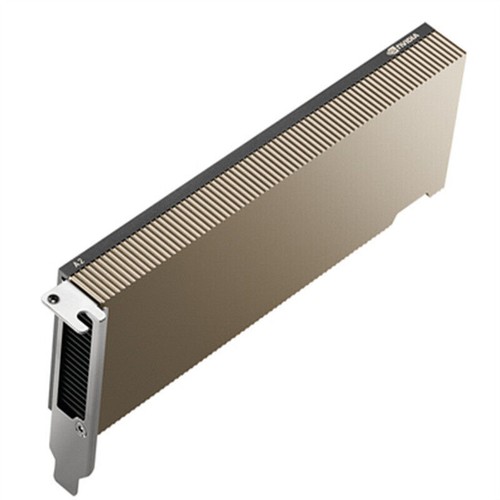 Original nvidia tesla - tesla, a2