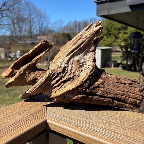 Bird shaped driftwood 14x4x8 - driftwood,