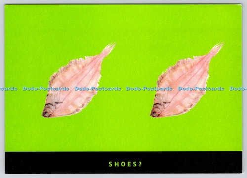 L366730 shoes fish - shoes, kangol