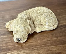 Sandicast Golden / Labrador