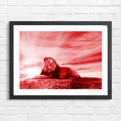 Regal lion lying rock - lion, on