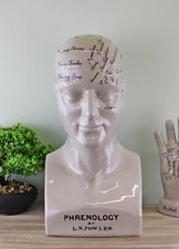 Phrenology Head L N Fowler