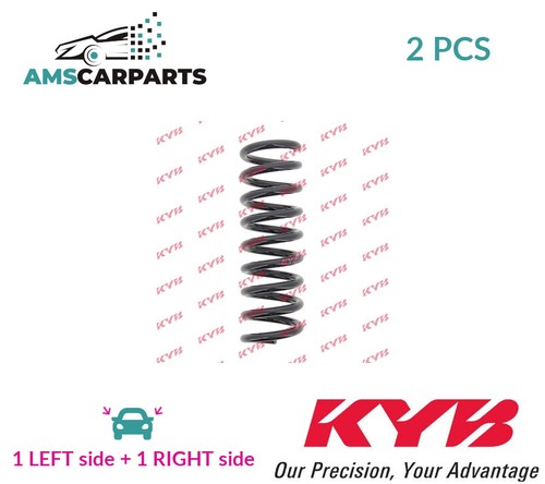 Coil spring pair set rear - coil,