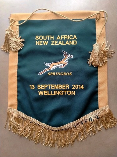 South africa springboks - south,