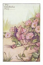 1925 Original First Edition The Convolvulus Fairy Flower Fairies book print