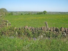 Photo 6x4 Pasture land near
