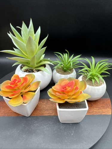 Faux succulent plant set - succulent, desk