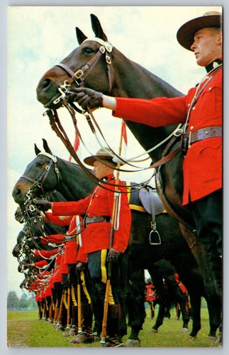 Royal canadian mounted - royal,