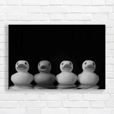 Rubber Ducks For A Fun