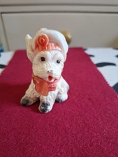 Scottish West Highland Terrior