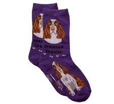Springer Spaniel Foozys Fun