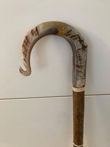 Tall rams horn - tall,