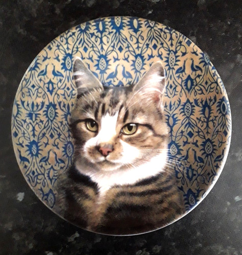 Royal worcester ivory cats - ivory,