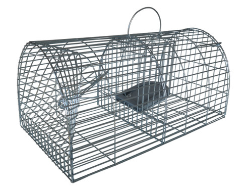 Multi catch rat trap - rat,