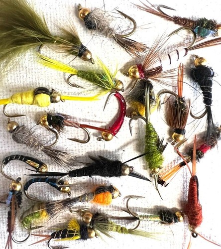 Nymph selection trout fly - nymph,