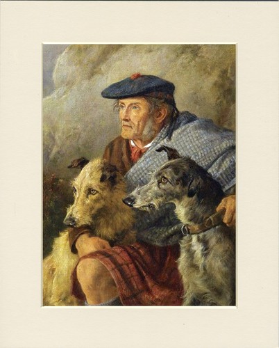 Deerhound lurcher dog art - deerhound,