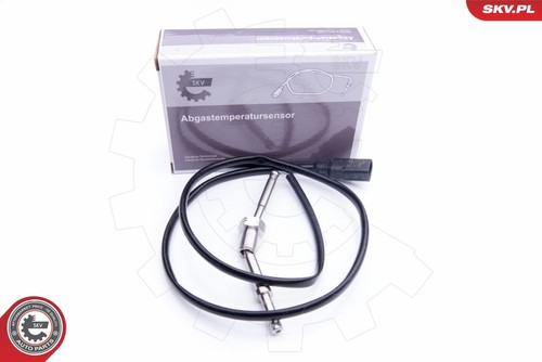 Fits skv germany - fits,