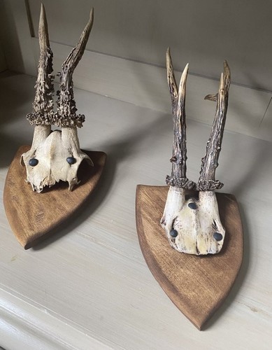 Sweet pair decorative deer - decorative,