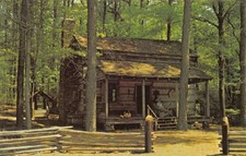GA~GEORGIA~PINE