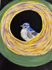 Blue Bird is Looking