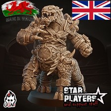 Fantasy Football Lizardmen