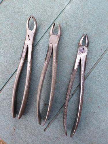 Vintage dental molar with - vintage,