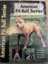 American Pit Bull Terrier By F