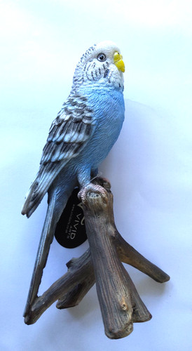 Vivid arts budgerigar - arts,