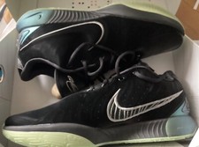 Nike LeBron XXI Basketball