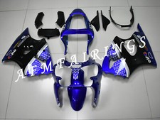 Blue ABS Injection Mold