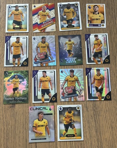 Wolves 14x card sticker - wolves,