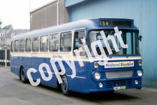Bus Photo - Midland Bluebird