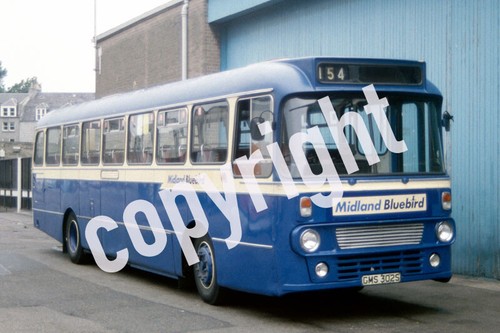 Bus photo midland bluebird - photo,
