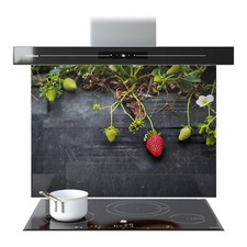 Kitchen Glass Splashback