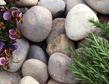 Scottish Cobbles | 50mm to 75mm | Bulk Bag - Garden Landscape Pebbles / Cobbles