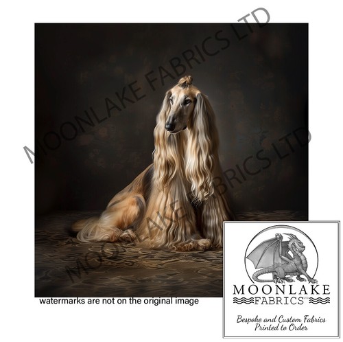 Afghan hound sitting 100 - afghan,