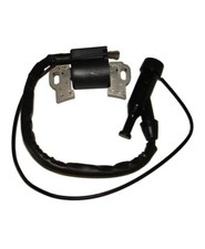 Ignition Coil/Module Fits