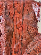 Rare Vintage Python Snake