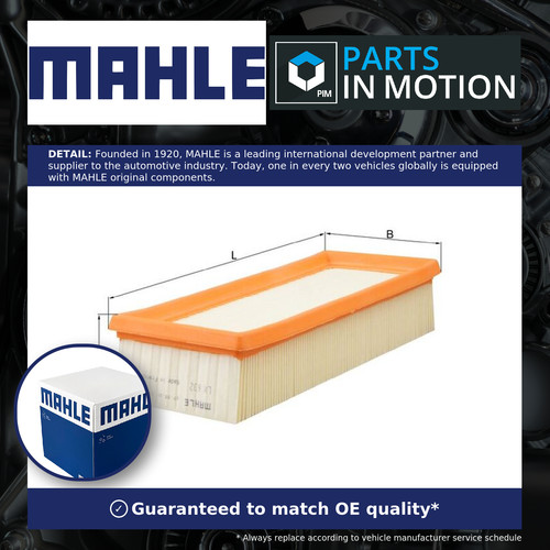 Air filter fits lotus - fits,