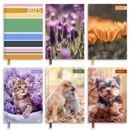 2025 diary week - 2025, view