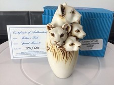 Adam Binder Mothers Pride Special Moments Lions