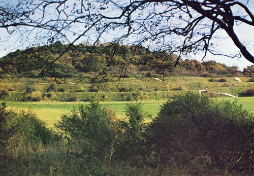 England postcard shapwick - postcard,