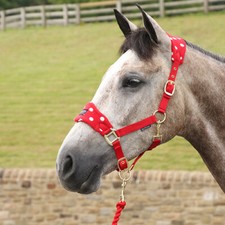 Mustang Padded Head Collar Red with White Dots Horse Size Full Equestrian